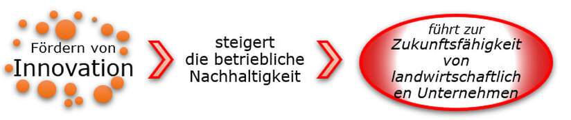 Vision und Ziele Innovativi Puure